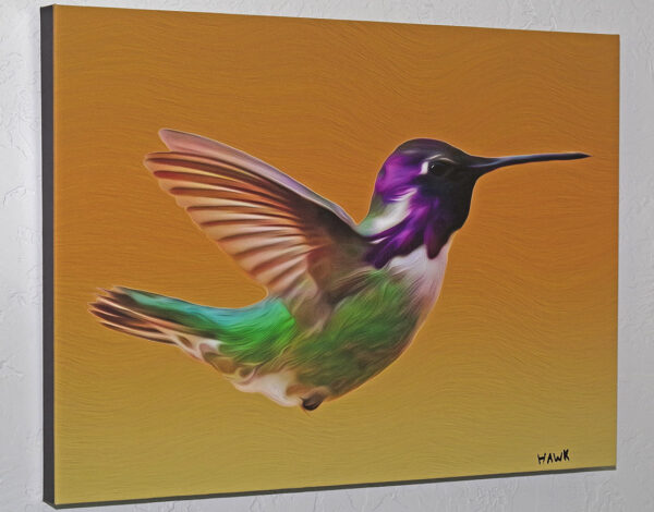 Hummingbird.jpg