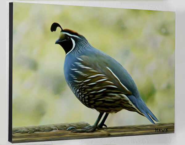 quail-on-a-rail.jpg