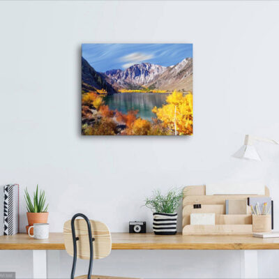 16 x 20 wall mockup - Copy